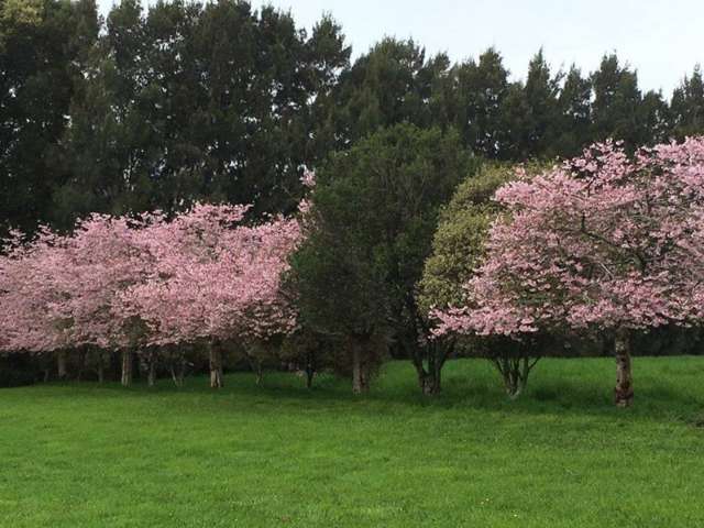 10a Brighton Grove Newstead_4