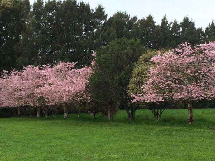 10a Brighton Grove Newstead_4