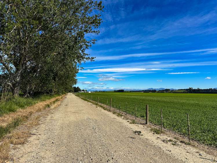 909 Nine Mile Road Riversdale_13