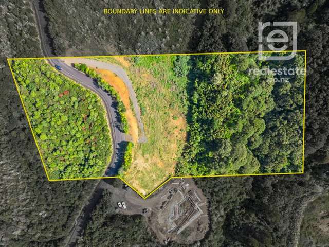 110 Griggs Road East Tamaki Heights_3