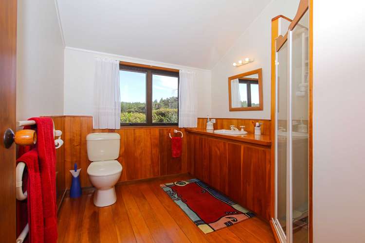 449 Blackbridge Road Dairy Flat_17