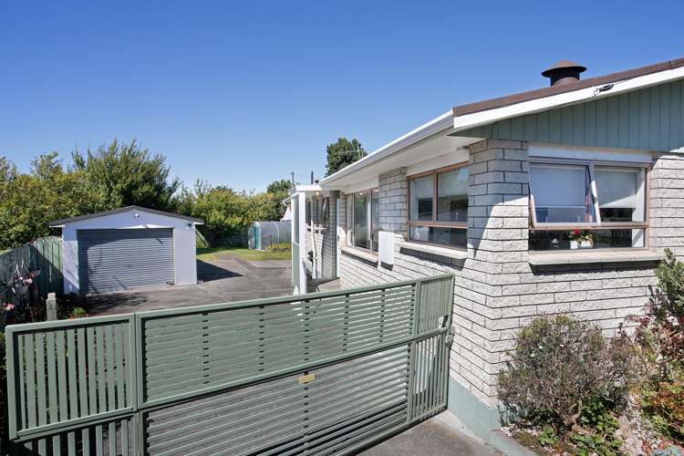 21 Flower Street Bulls_17