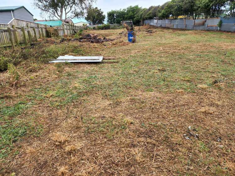 34 Brassey Street Waverley_6