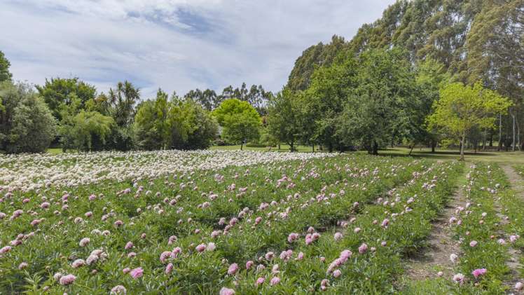 309 School Road West Eyreton_48