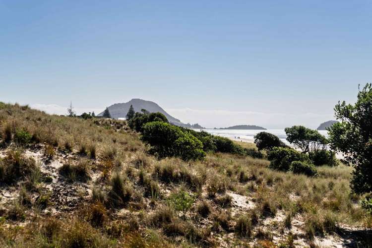 20b Paterson Street Mount Maunganui_27