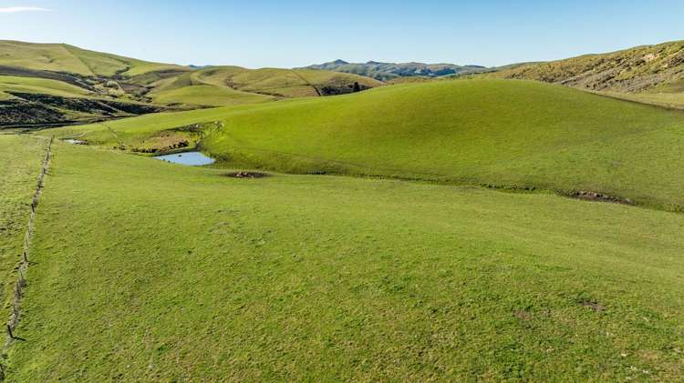 324 Reeces Road Omihi_12