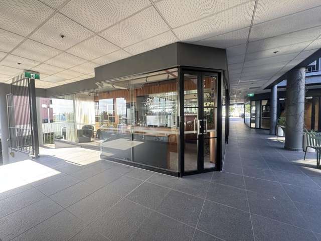 1 Jervois Road Ponsonby_1