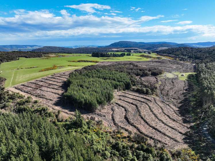 1250 Mokoreta Tahakopa Road_0