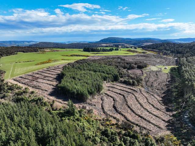 Cutover Forestry, Native Bush & Hunting Potential