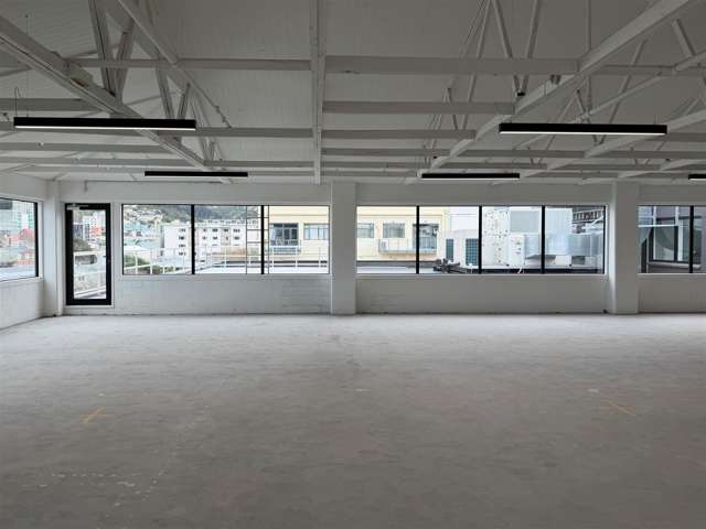 Level 3.1, 147 Tory Street Te Aro_4