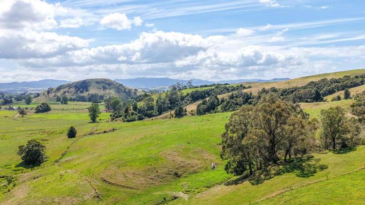 528 Monument Road Maramarua_31