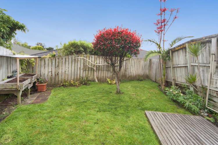 47 Palmgreen Court Stanmore Bay_11