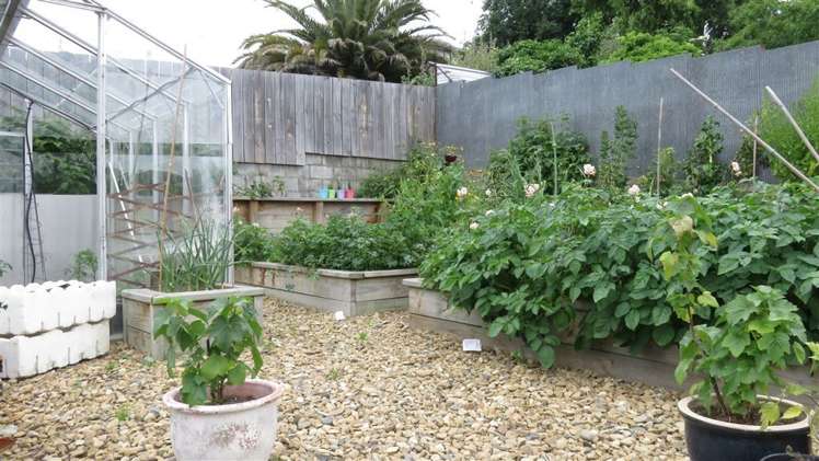 25 Clyde Carr Crescent Waimataitai_13