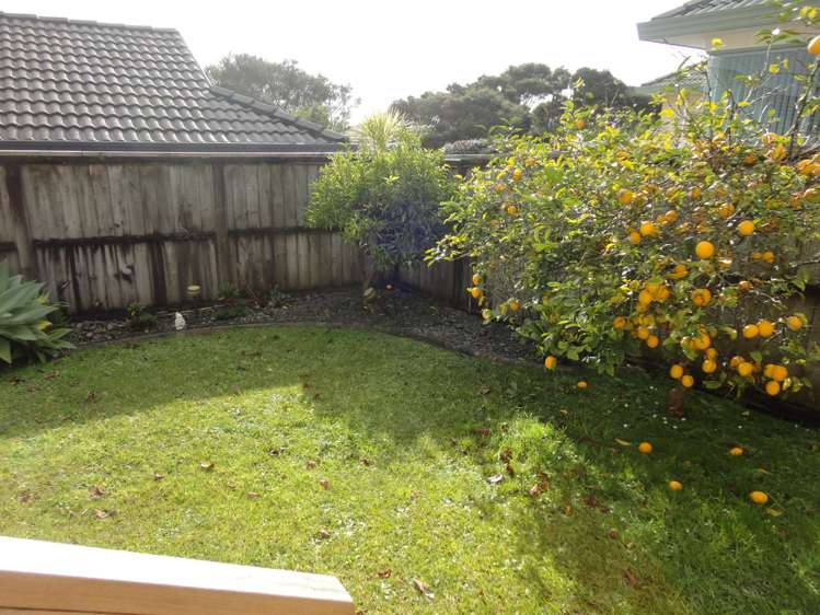 14g Cradock Street Avondale_8