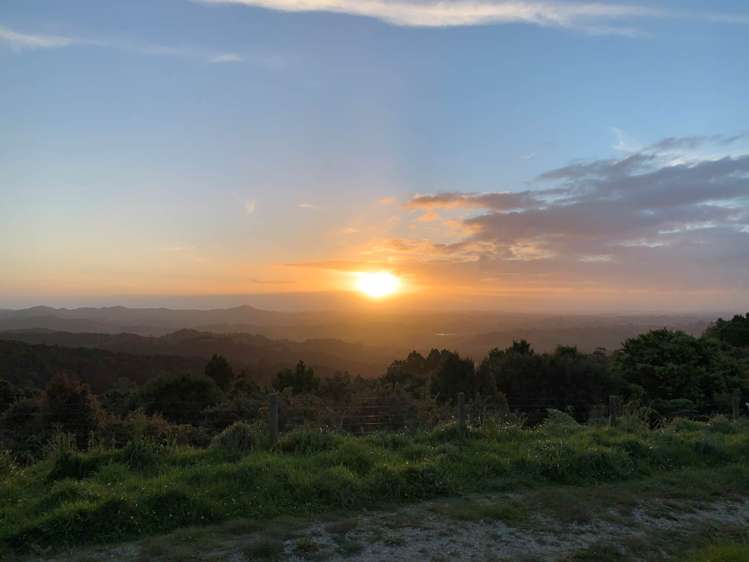 297a Wilson Road Wellsford_4