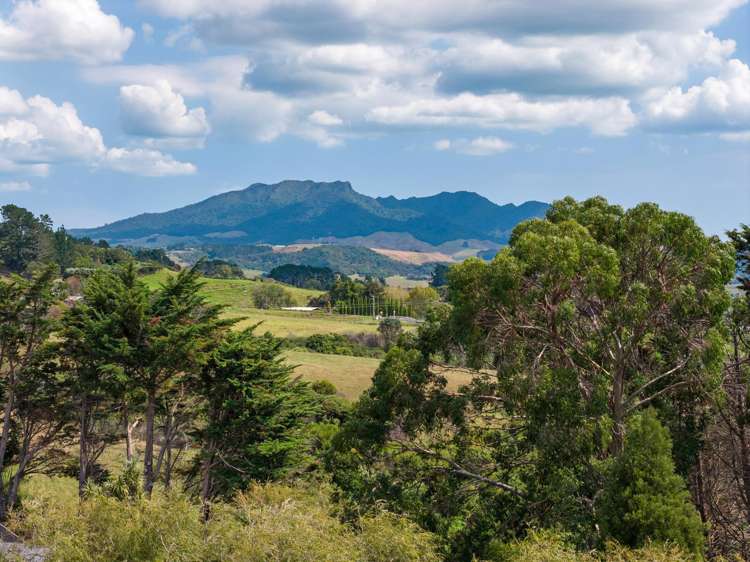 89A Greenslade Road Raglan_12