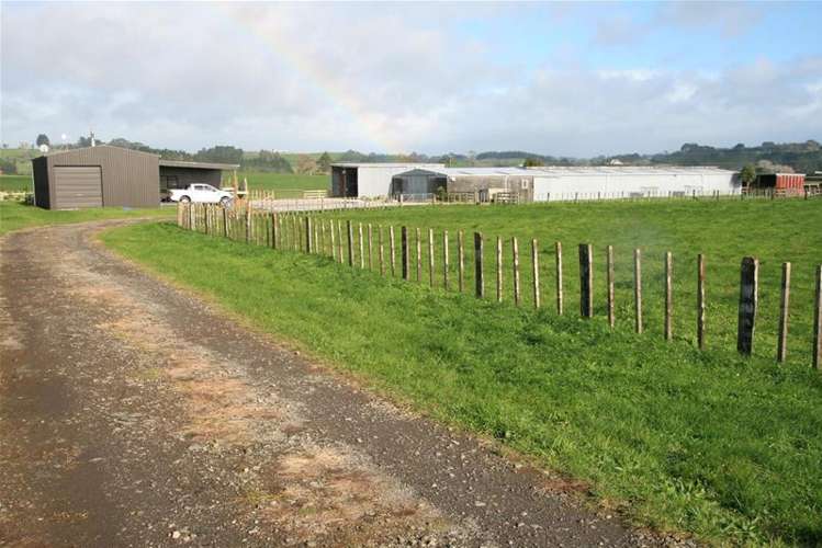 318c Manutahi Road Lepperton_5