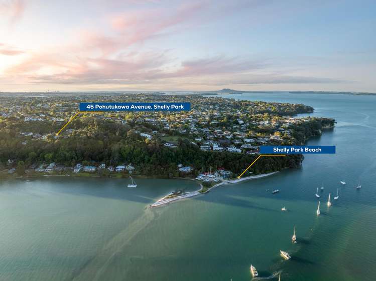 45 Pohutukawa Avenue Shelly Park_37