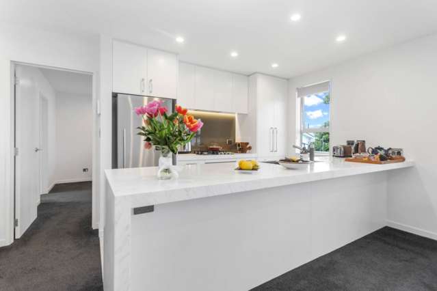 3/18 Viewland Avenue Onehunga_2