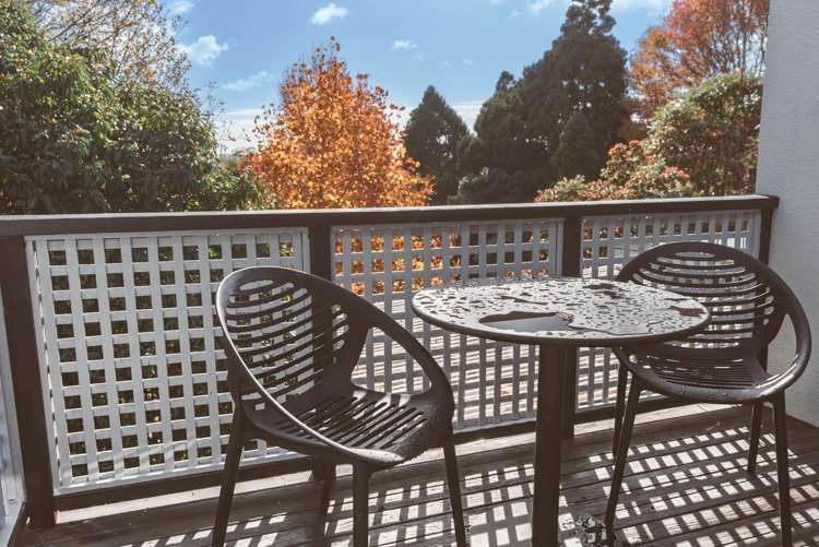 2b Cradock Street Avondale_14