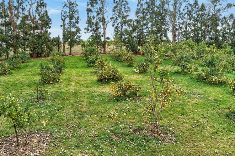 Lot 1/69a Vineyard Lane Mangawhai_15