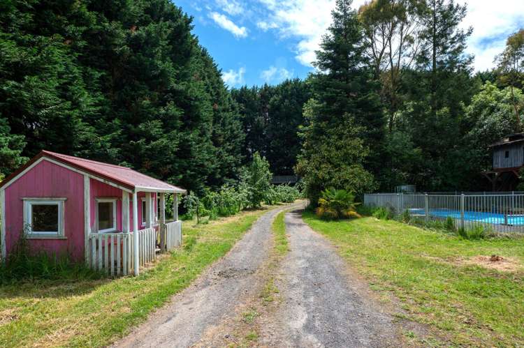 66 Forest Road Oruanui_41
