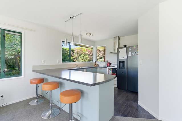 750 Shands Road Prebbleton_3