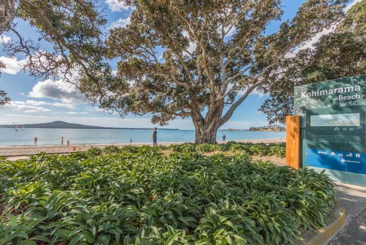 7 Speight Road Kohimarama_0