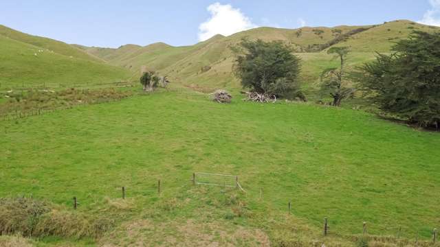 420 Mangaoranga Road Eketahuna_3