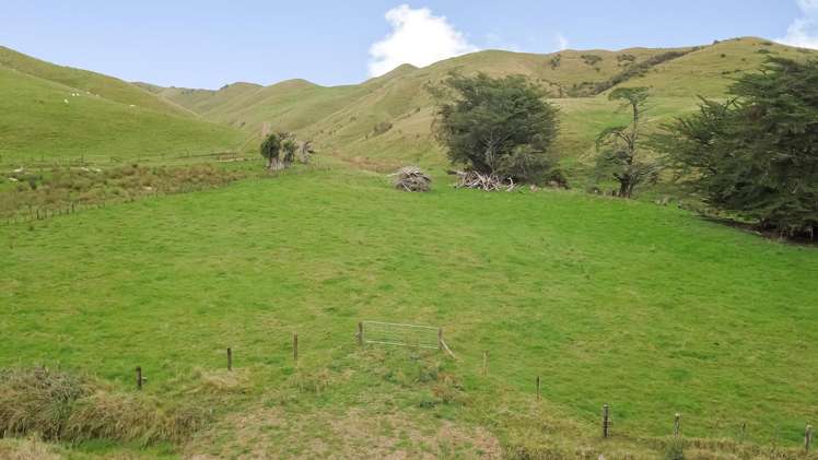 420 Mangaoranga Road Eketahuna_3