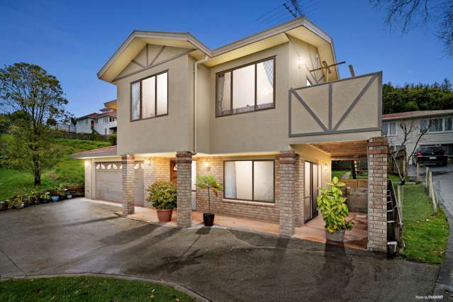 13a Drew Street Mount Roskill_1