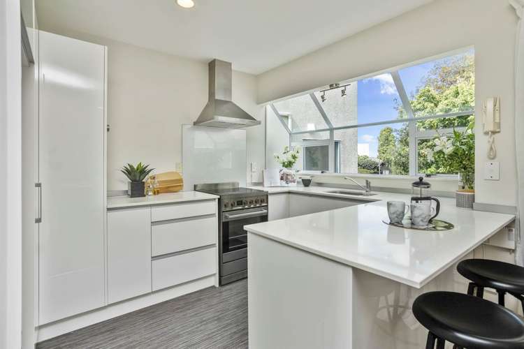 17 Crescent Road Parnell_6