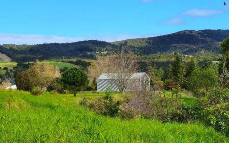 Wekaweka Road Waimamaku_21