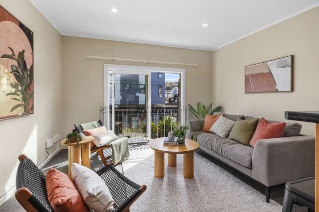 14/3 Kelvin Grove Te Aro_1