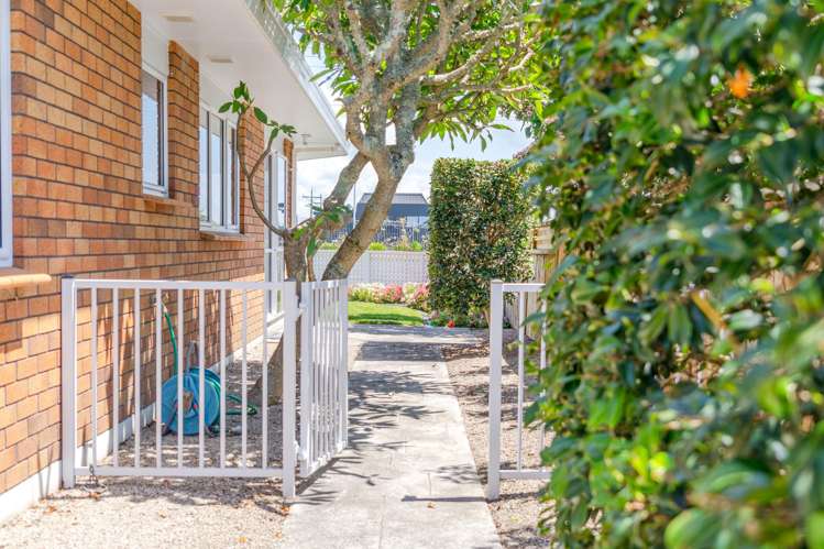 5 Palm Court Mt Maunganui_19