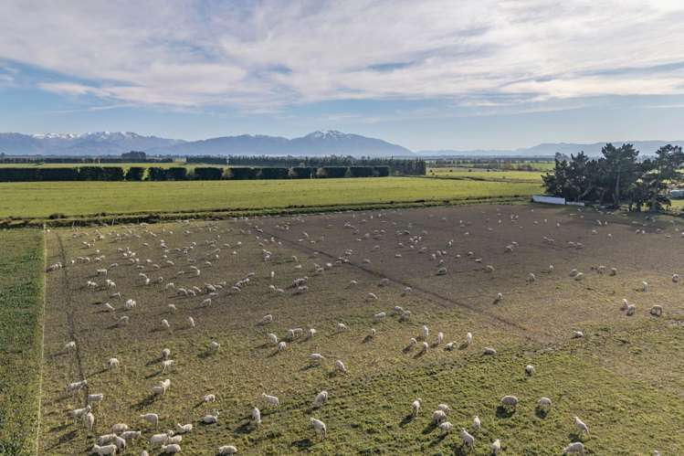 299 Lyndhurst Road Lauriston_39