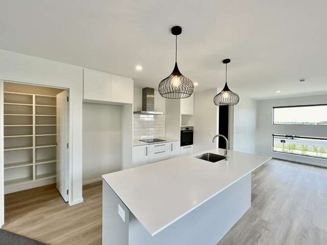 86 Monarch Drive 11103_1