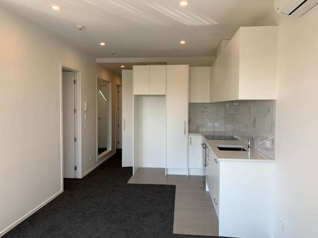 203/1A Oakley Avenue Waterview_2