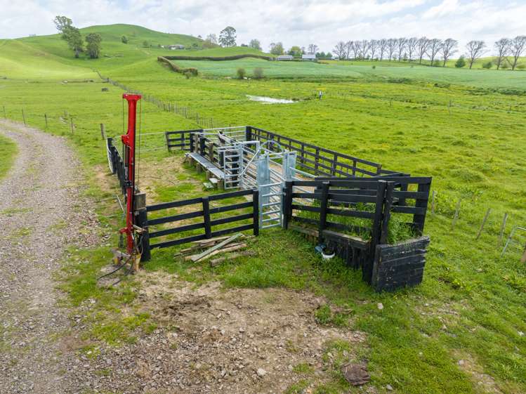 228 Pond Road Matamata_7