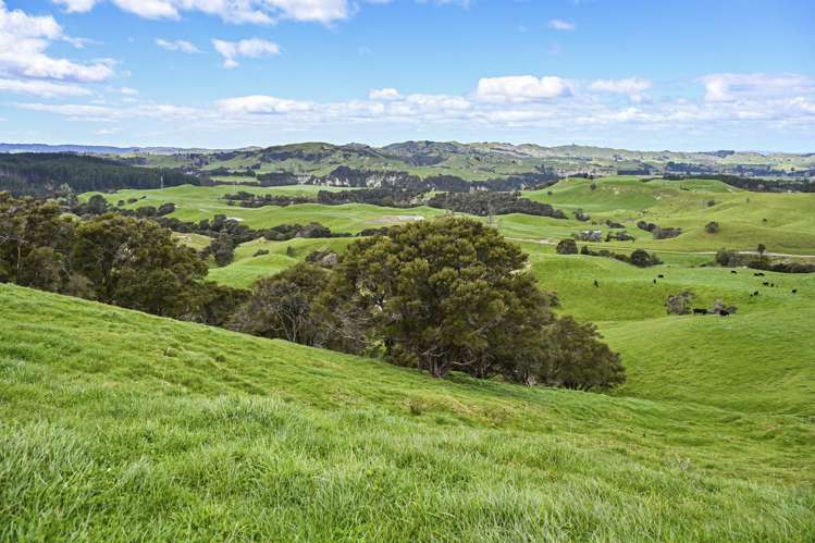 2152 Puketitiri Road Central Hawkes Bay Coastal_6