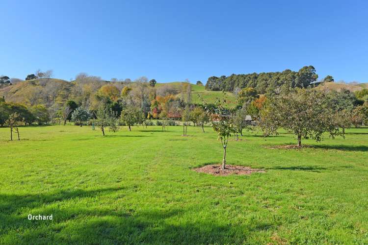 672c Te Whiti Road Te Whiti_12