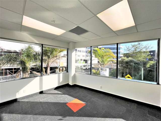 9a Hargreaves Street Freemans Bay_2