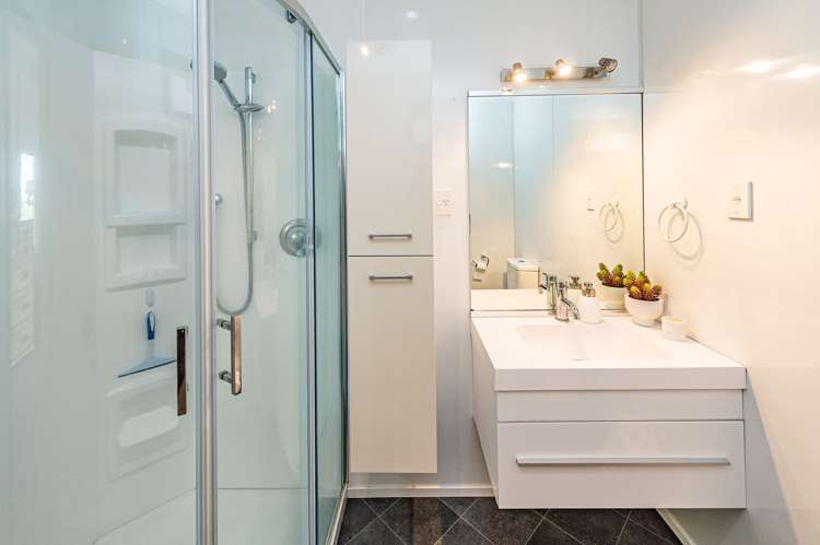 1 Brassey Road Saint Johns Hill_13