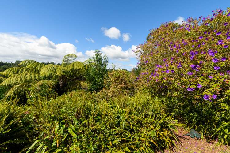 45 Oropi Gorge Road Pyes Pa_26