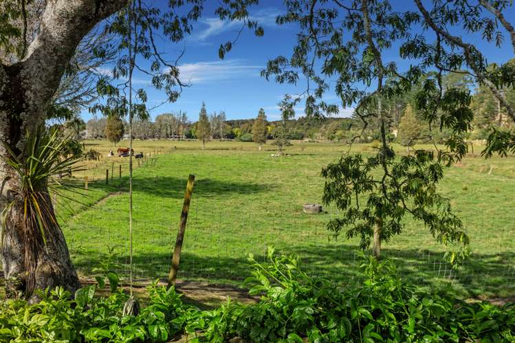 1255 Braemar Road Rotoma_7