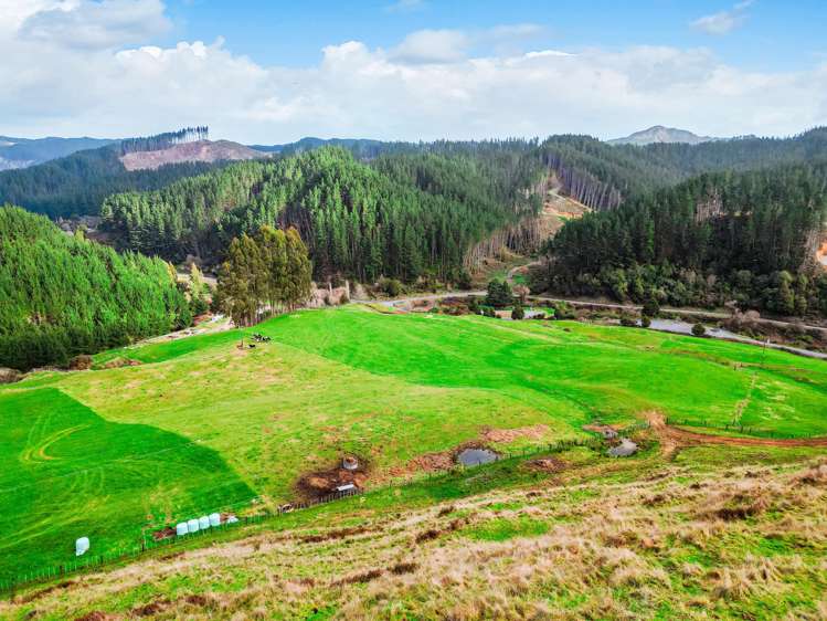 3789 State Highway 4 Ongarue_23