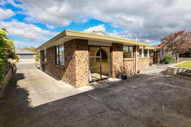119 Guy Street Dannevirke_1