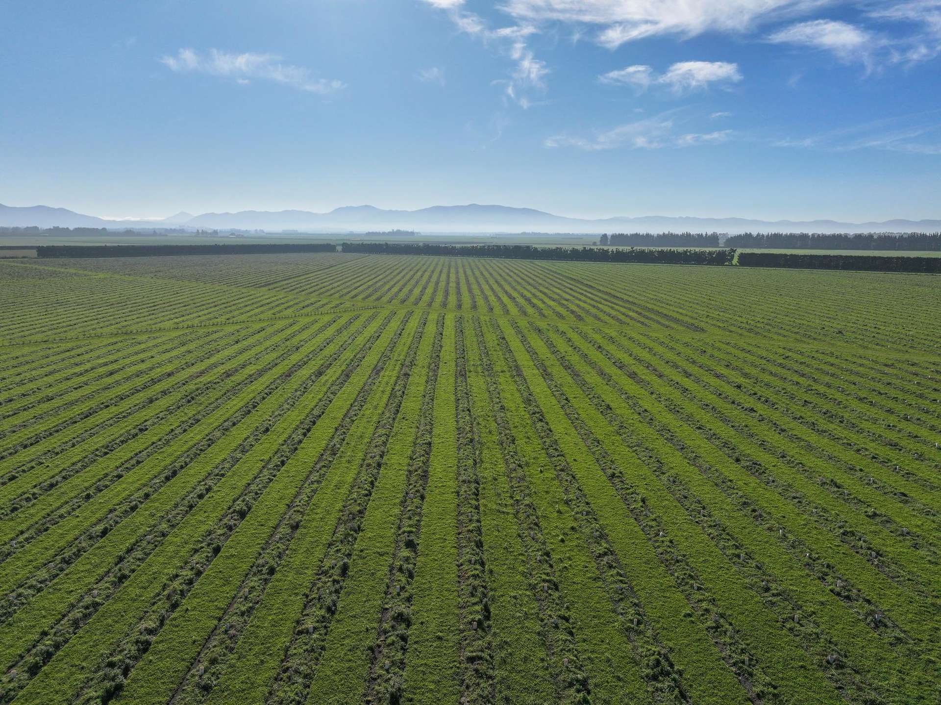 77 Bleak House Road Darfield_0