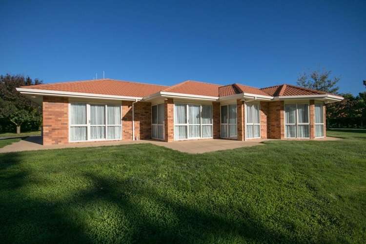 297 Bellevue Road Matangi_17