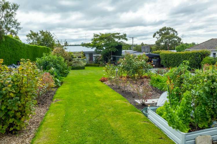 41 Afghan Street Pleasant Point_16